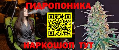 PSILOCYBIN Бийск
