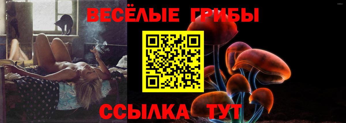 Псилоцибиновые грибы Psilocybine cubensis Кизляр